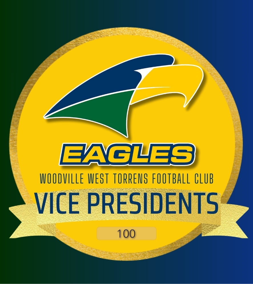 Vice Presidents Group